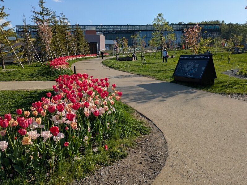 03944.jpg