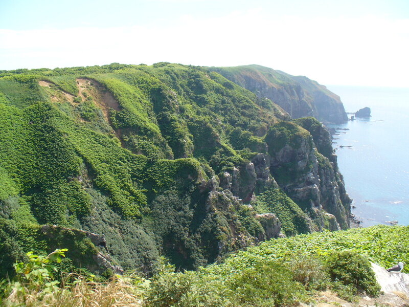 2007年7月 天売島・焼尻島