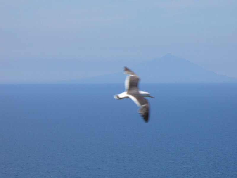 北海道070727.jpg