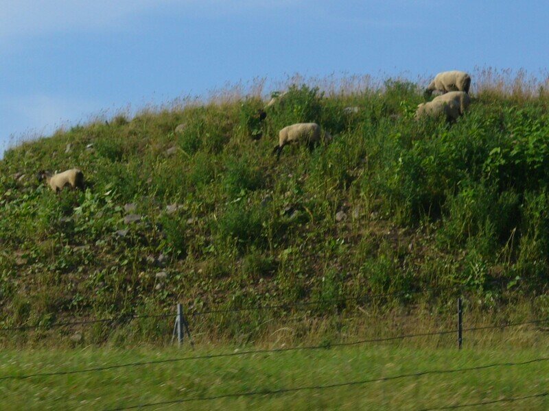 北海道070744.jpg