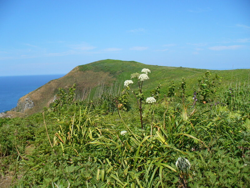 北海道070767.jpg