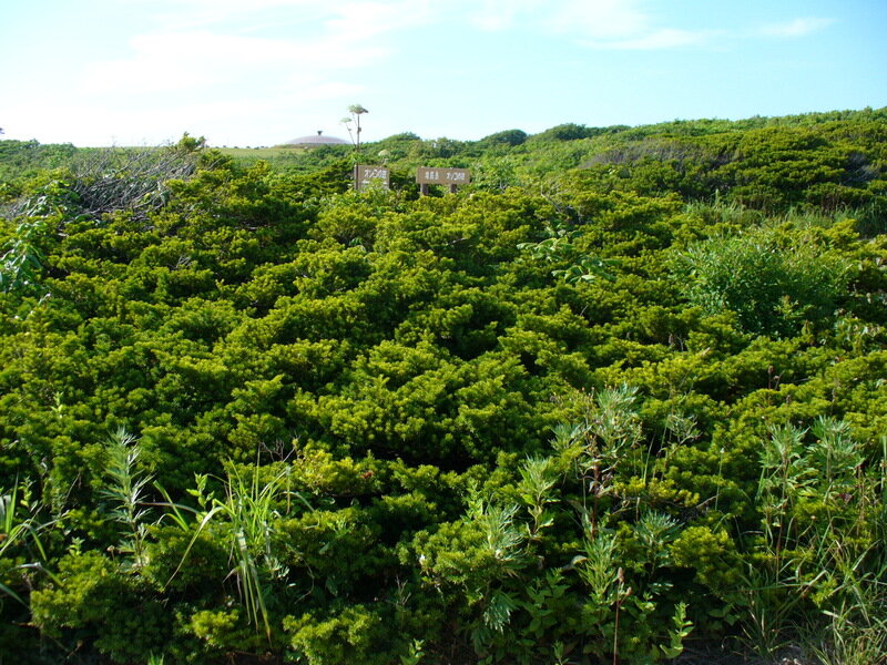 北海道070788.jpg