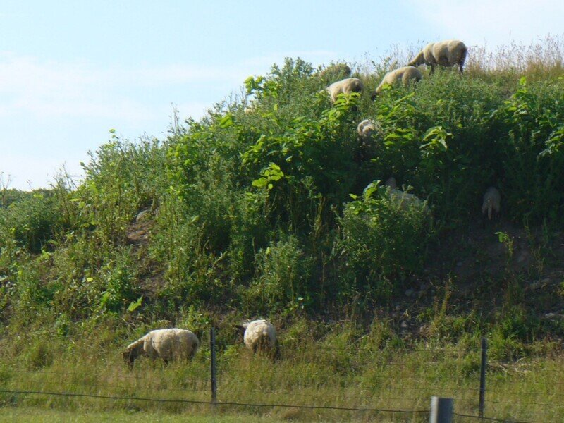 北海道070790.jpg