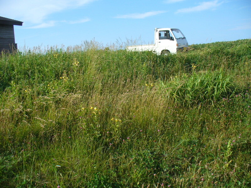 北海道070793.jpg