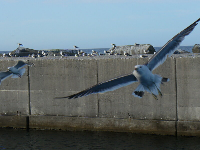 北海道070795.jpg