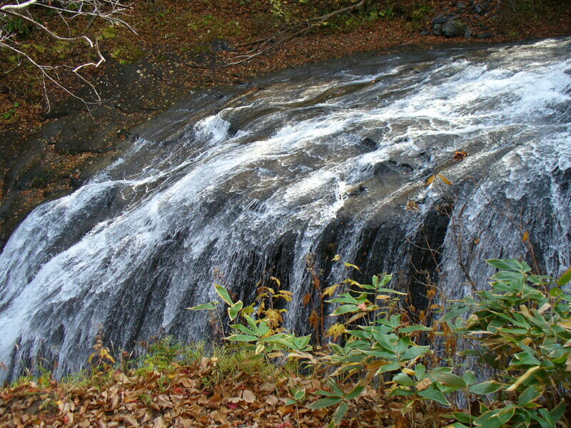 北海道081001.jpg