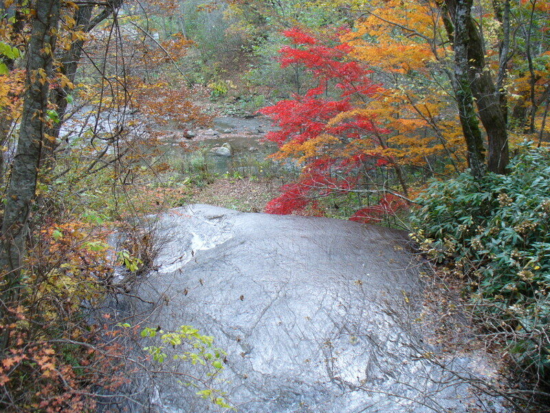 北海道081007.jpg