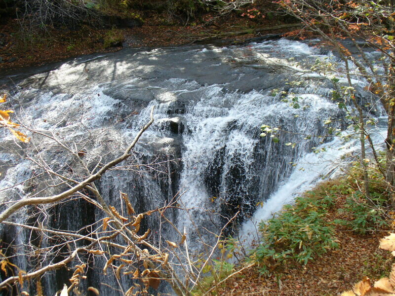 北海道081017.jpg