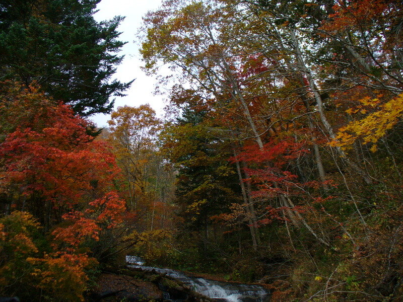 北海道081022.jpg