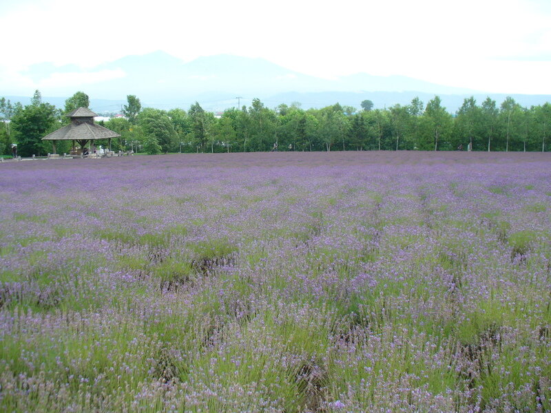 北海道090737.jpg