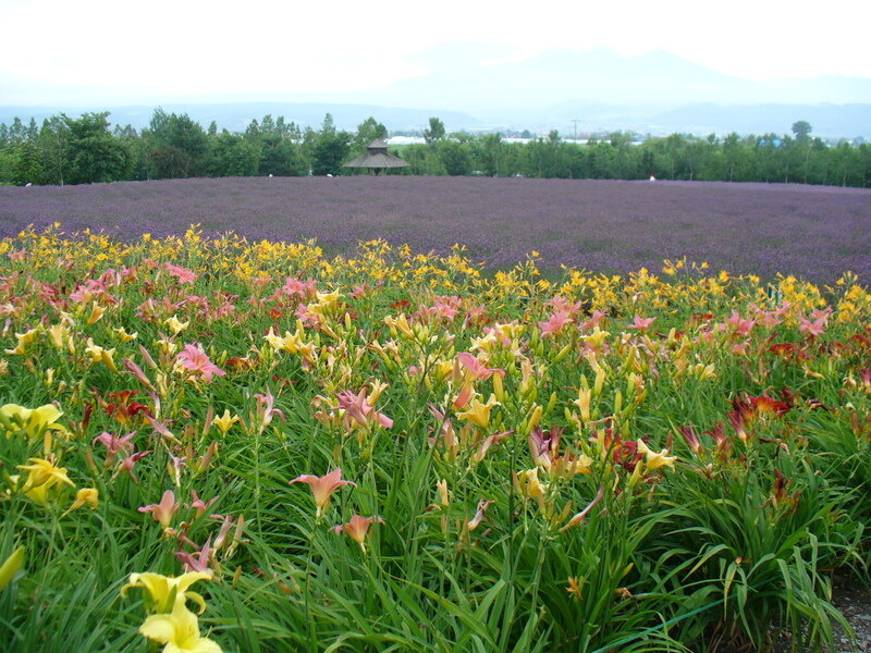 北海道090789.jpg