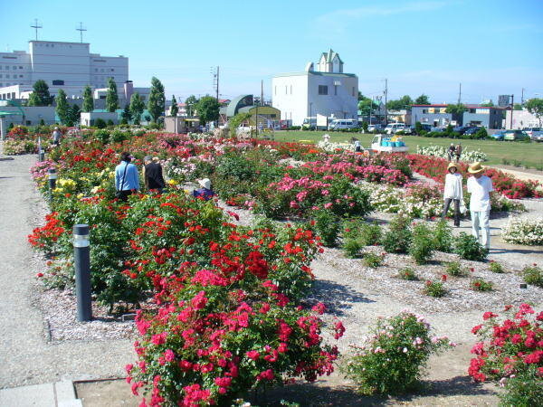 北海道100725.jpg