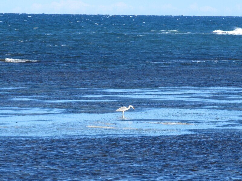 北海道110982.jpg