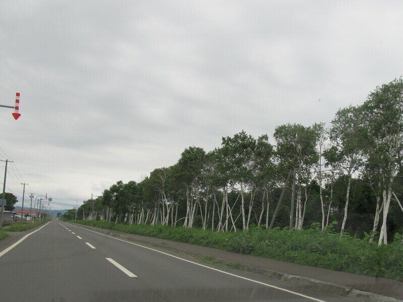 北海道120648.jpg