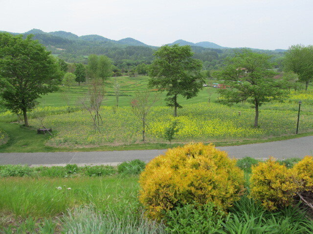 2016年5月 由仁・深川・羽幌