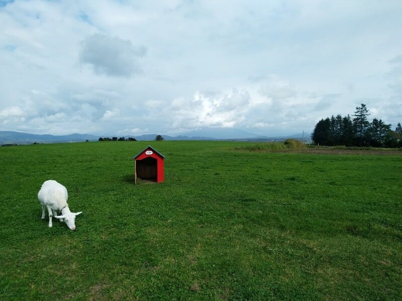 北海道180719.jpg