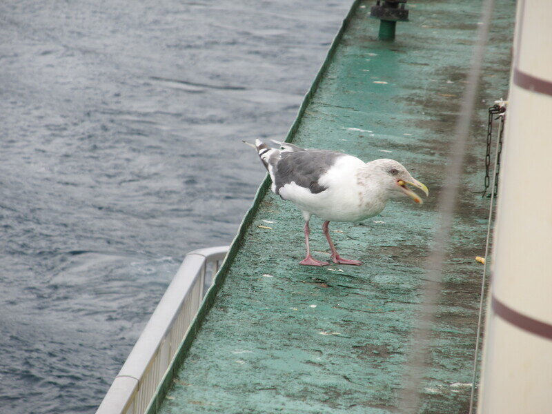 北海道180845.jpg