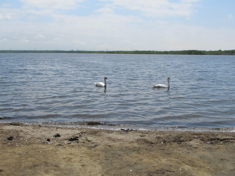 北海道190614.jpg