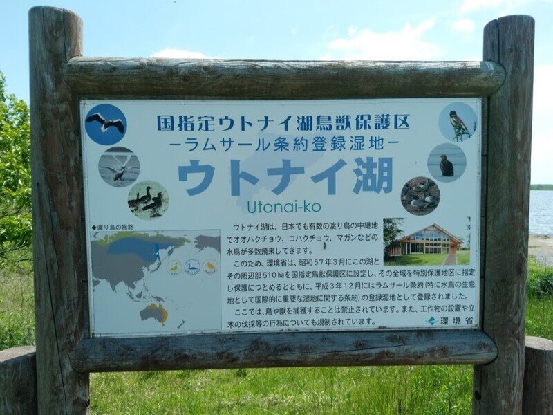 北海道190618.jpg