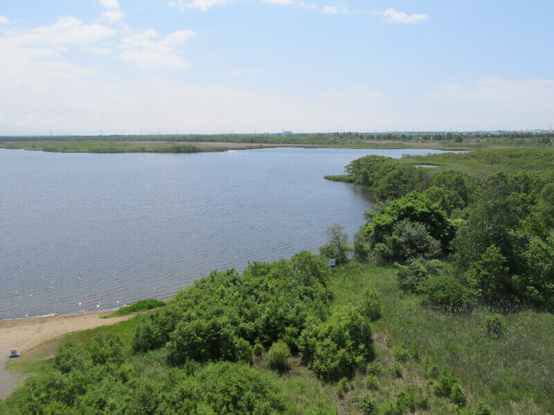 北海道190625.jpg