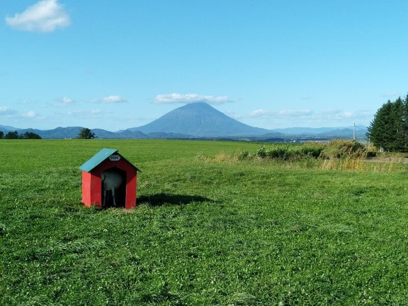 北海道191095.jpg