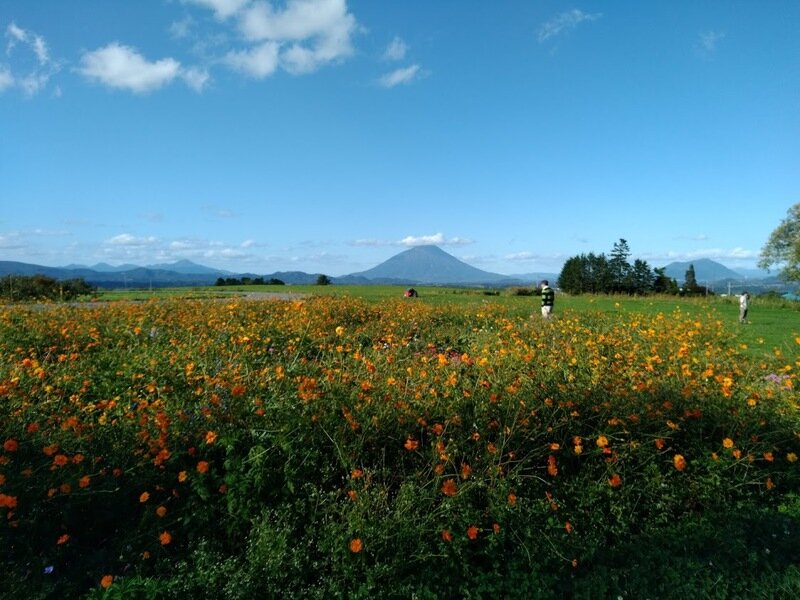 北海道191097.jpg