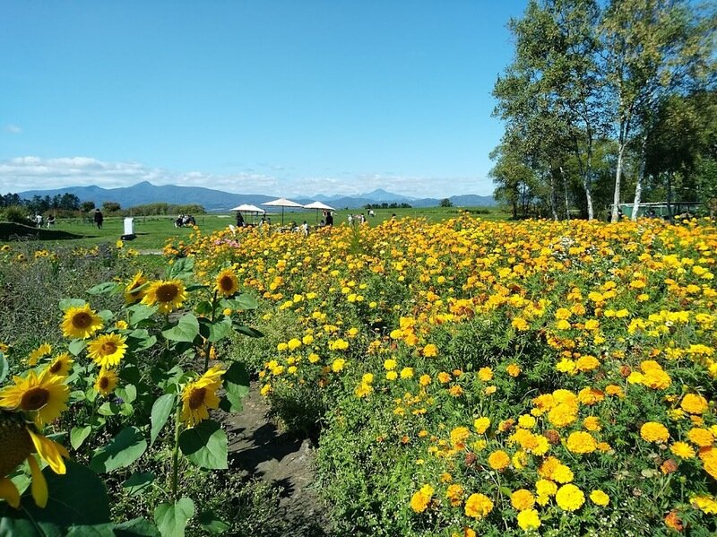 北海道210971.jpg