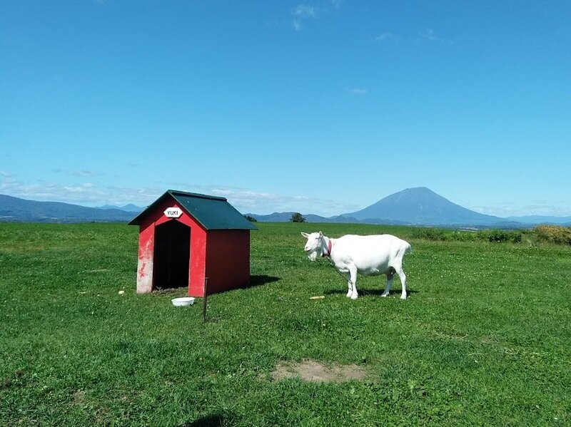 北海道210984.jpg