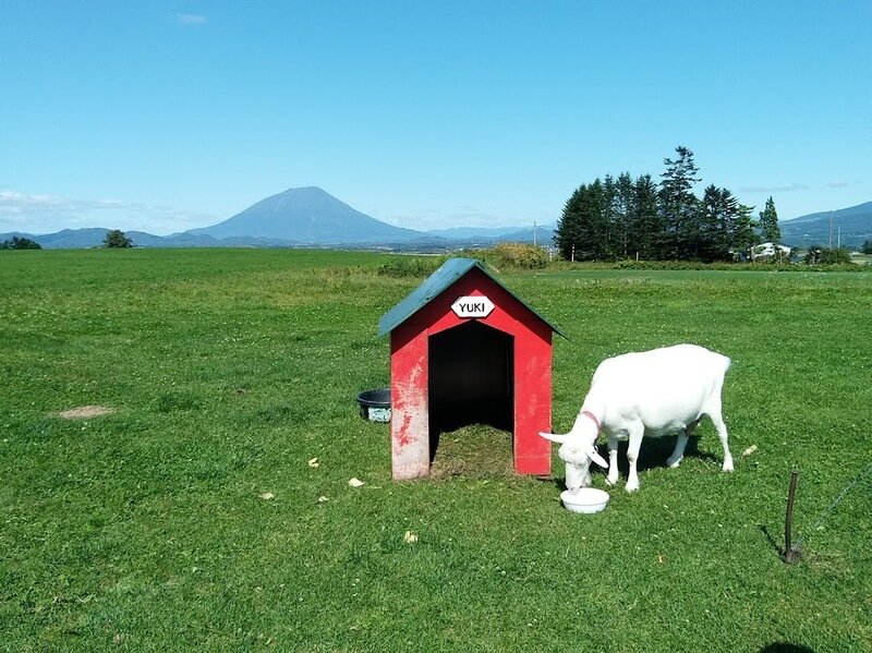 北海道210985.jpg