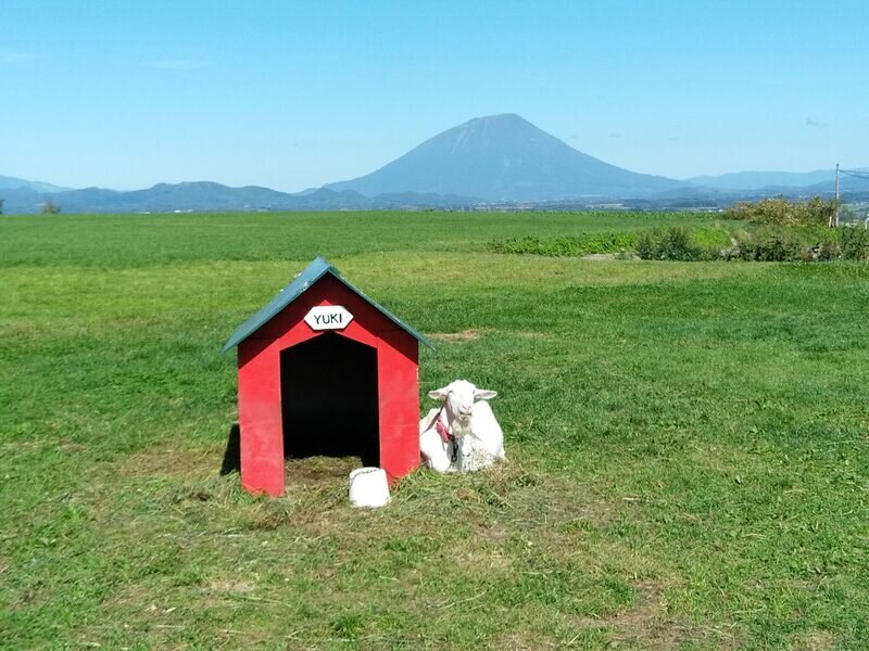 北海道221024.jpg