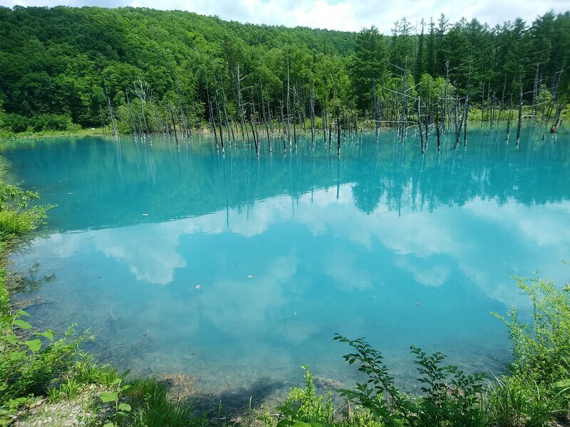 北海道230711.jpg