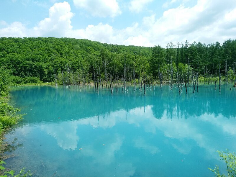 北海道230714.jpg