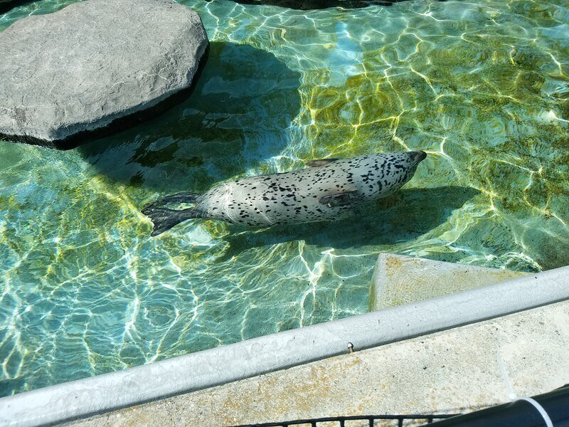 北海道230767.jpg