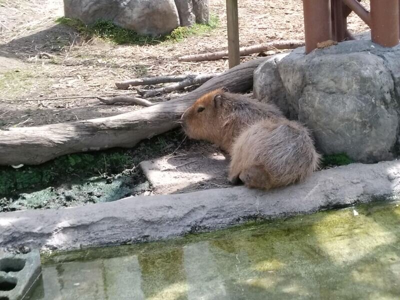 北海道230783.jpg