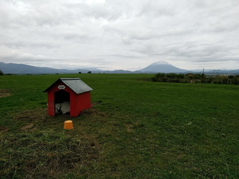 北海道231093.jpg