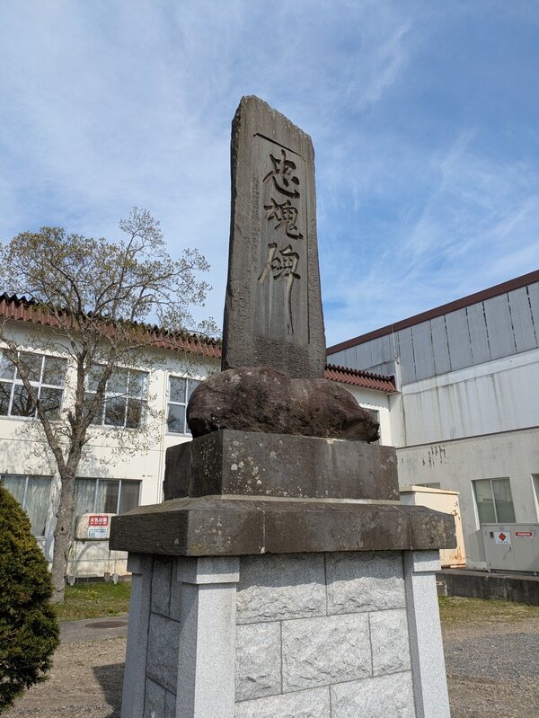 250339.jpg
