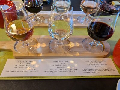 2025年6月 岩見沢・芦別・旭岳温泉