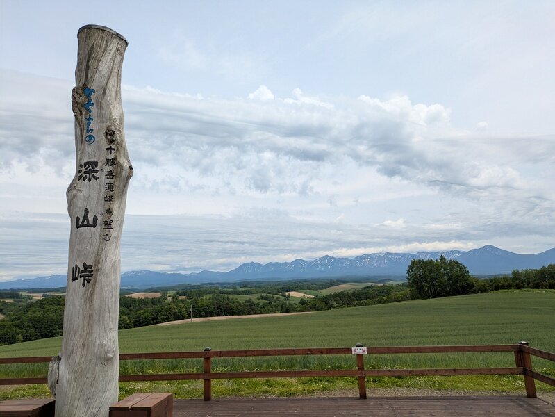 2506382.jpg