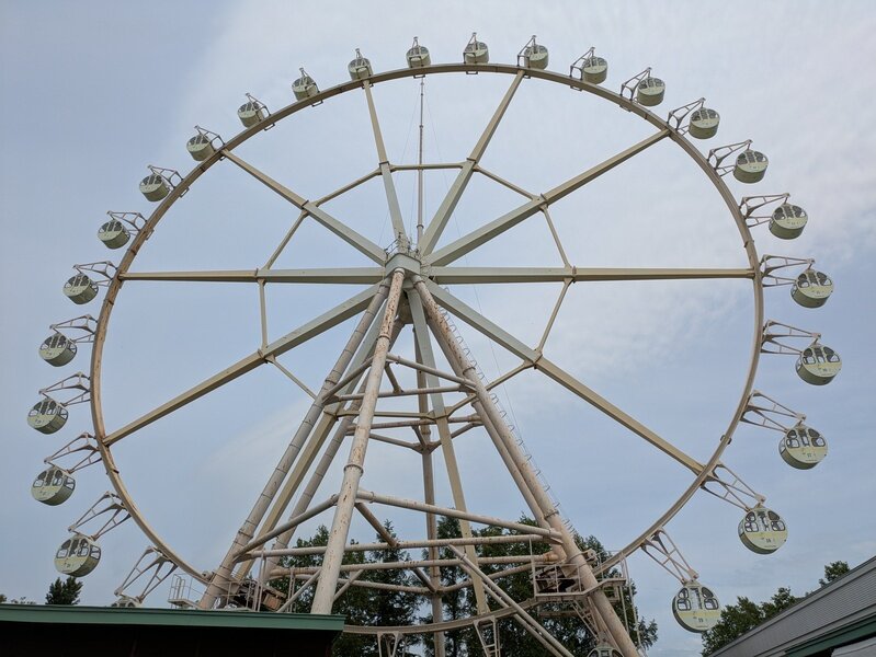 2506387.jpg