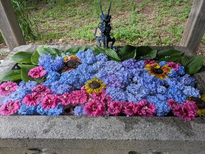 2025年7月 仁木・余市