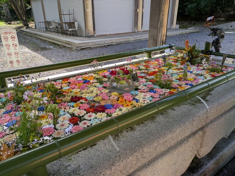 250914d05.jpg