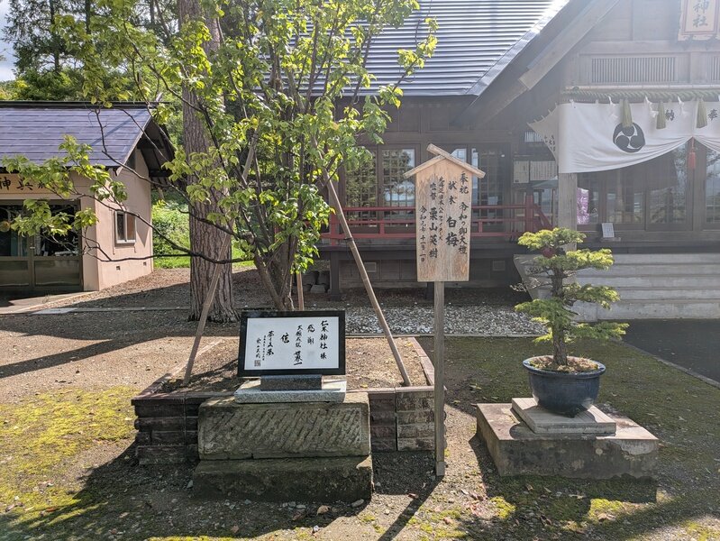 2509j05.jpg