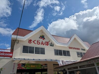 仁木町 さくらんぼ山観光農園 プルーン狩り