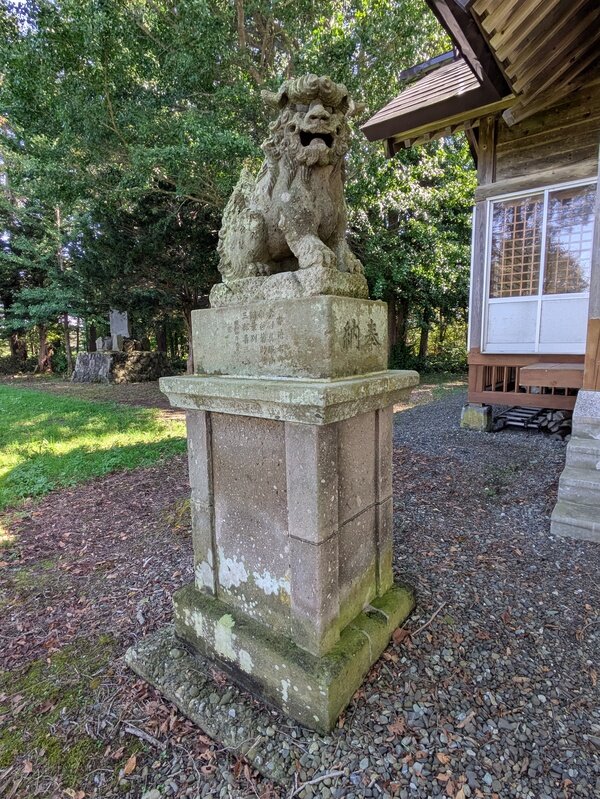 2509d37.jpg