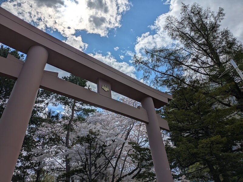 250505b.jpg 北海道