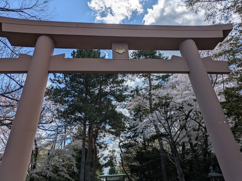 250505c.jpg 北海道