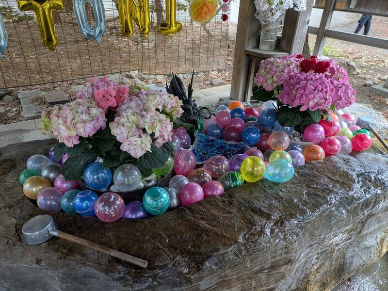 250505l.jpg 北海道