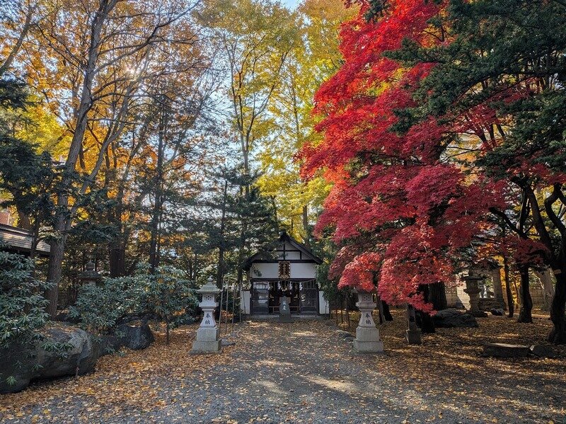 251106d.jpg 北海道