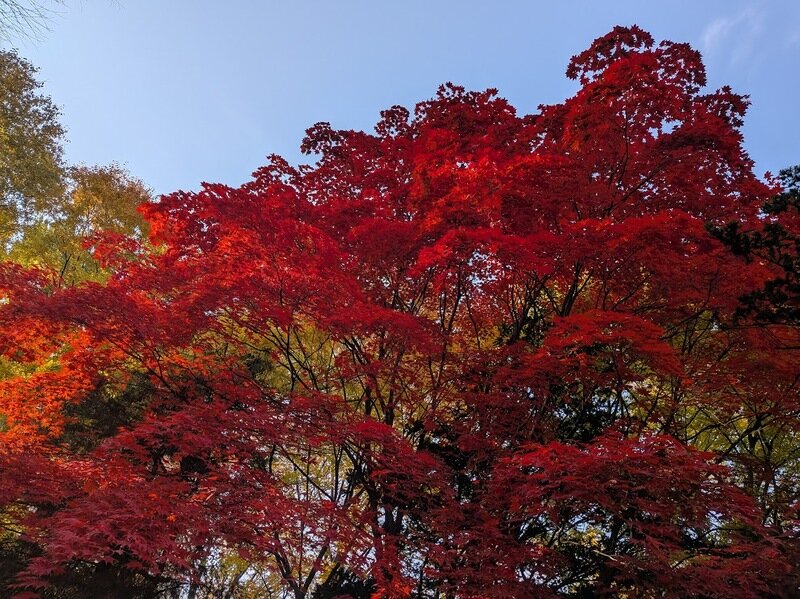 251106e.jpg 北海道