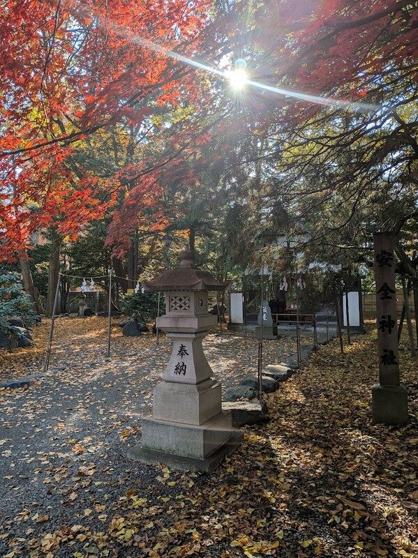 251106f.jpg 北海道